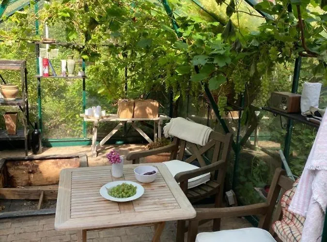 Center With Balcony, Garden & Free Parking